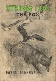 String Lug the Fox (David Stephen)