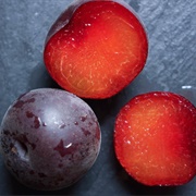 Purple Apricot (Prunus × Dasycarpa)