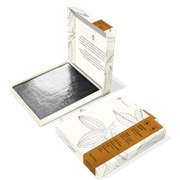 To'ak Andean Alder 4 Years