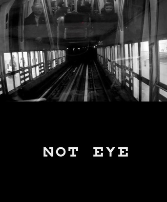 Not Eye (2013)