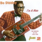 Beat With an Ugly Stick - Bo Diddley