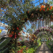 NYC Botanic Garden