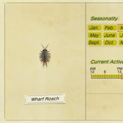 Wharf Roach