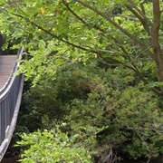 Rifle River State Recreation Area