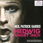 Hedwig and the Angry Inch