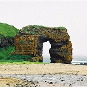 Steller Arch