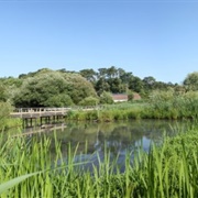 Marais D'Orx National Nature Reserve