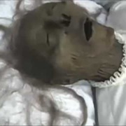 My Dead Great Grandma's Coffin in My Own Backyard!