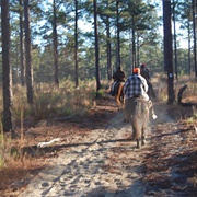 H. Cooper Black Jr. Memorial Field Trial and Recreation Area