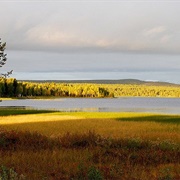 Kangosjärvi