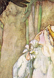 The Pink (Brothers Grimm)