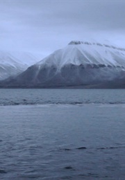 Reign of Silence (2016)