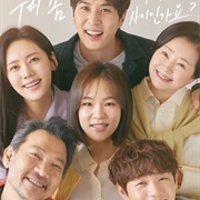 My Unfamiliar Family