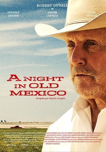 A Night in Old Mexico (2013)