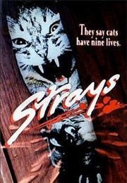 Stray's (1991)