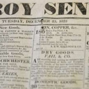Troy Sentinel