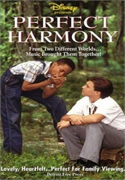 Perfect Harmony (1991)