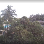 Miami Airport Hilton, Miami FL