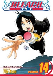 Bleach Volume 14 (Tite Kubo)