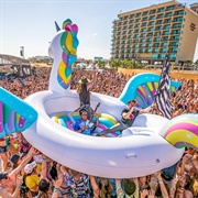 See Arizona Perform Live on Gulf Shores Beach