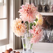 Buy Fresh Flowers Every Week in December