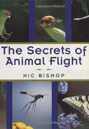 The Secrets of Animal Flight (Nic Bishop)