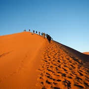 Climbed a Sand Dune