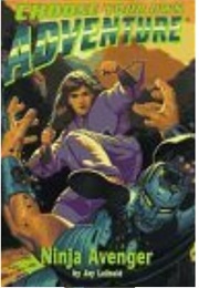 Ninja Avenger (Jay Leibold)