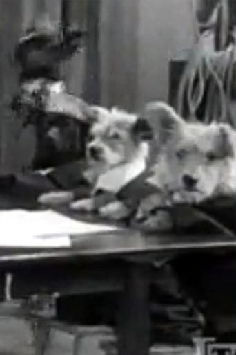 The Two Barks Brothers (1931)