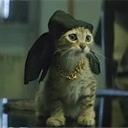 Kitten (Keanu)