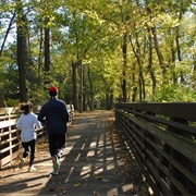 Shelby Bottoms Greenway