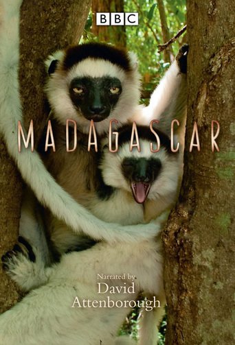 Madagascar (2011)
