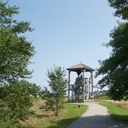 Belle Isle Marsh, East Boston, MA