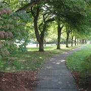 Memorial Park, Bellingham