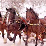 Ride in a Troika