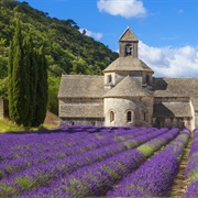 Gordes: Abbaye Notre-Dame De Sénanque