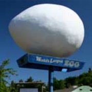 World's Largest Egg