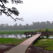 Little Pee Dee State Park