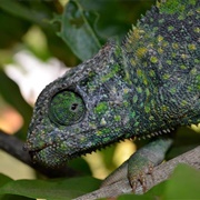 Southern National Park, South Sudan