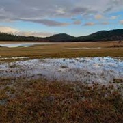 Pivka Lakes Nature Park & Kakov Skocjan Landscape Park, Slovenia