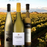 Vidal Blanc