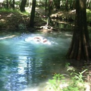 Wee Tee State Forest