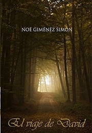 El Viaje De David (Noé Giménez)