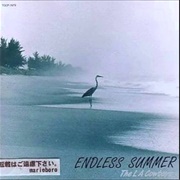The LA Cowboys - Endless Summer