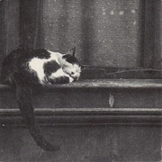 Tindersticks - City Sickness