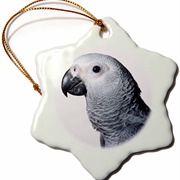 African Grey Parrot Ornament