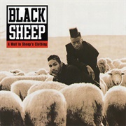 Black Sheep