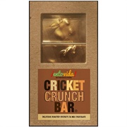 Cricket