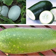Wax Melon