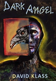 Dark Angel (David Klass)